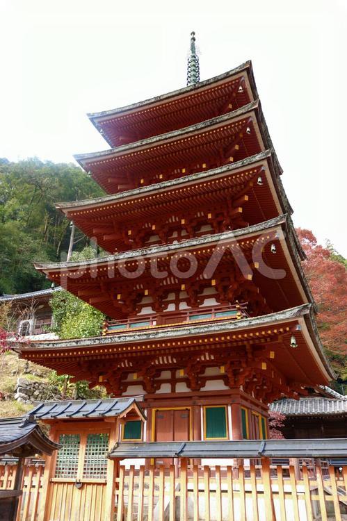 長谷寺の五重塔 長谷寺,五重塔,西国三十三箇所の写真素材