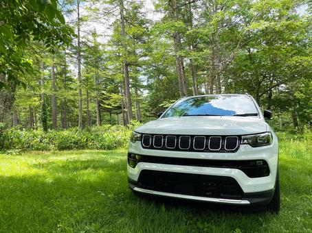 車と森林 suv,森林,アウトドアの写真素材