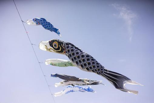 青空に舞う鯉のぼり 青空に舞う鯉のぼり 鯉のぼり,こいのぼり,端午の節句の写真素材