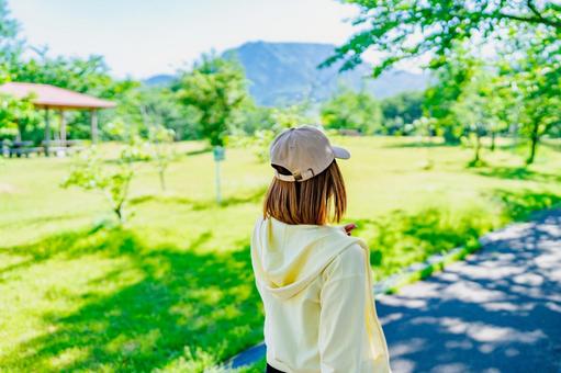 公園でウォーキングをする女性 公園でウォーキングをする女性 散歩,歩く,後ろ姿の写真素材