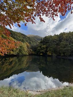 晩秋の大沢の堤の紅葉 大沢の堤,信州,松本市の写真素材