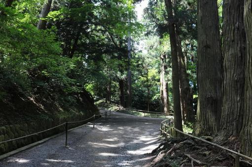 月見坂 月見坂 月見坂,表参道,参道の写真素材