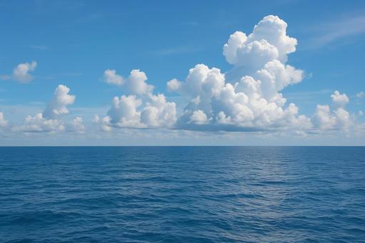 夏の海 夏の海の写真