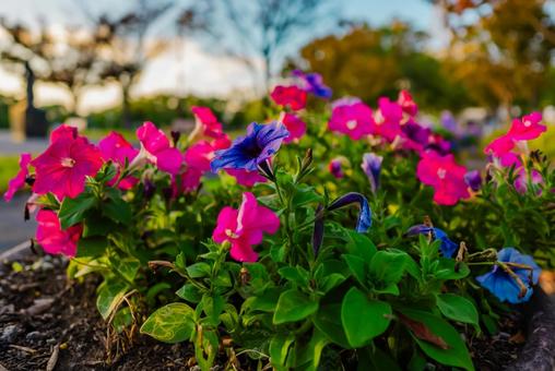 【佐賀】佐賀県立博物間・佐賀県立美術館 佐賀,風景,自然の写真素材
