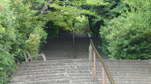 参道 参道の写真