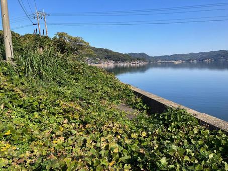 河口近くの海 河口,風景,水辺の写真素材