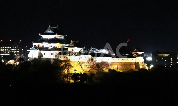 和歌山城の夜景 城,天守,白壁の写真素材