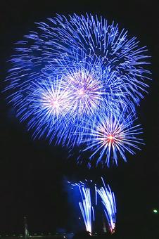 花火 firework 花火 fireworkの写真