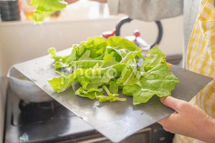 家事・料理素材　切った野菜を鍋に入れる 野菜,レタス,調理の写真素材