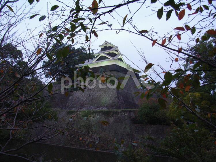熊本城飯田丸五階櫓ライトアップ 熊本城の写真素材