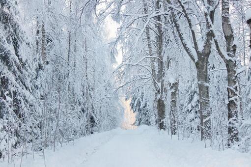 北欧　雪化粧した道 雪,大雪,積もるの写真素材