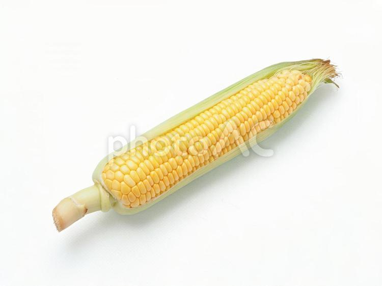 とうもろこし とうもろこし,白バック,夏野菜の写真素材