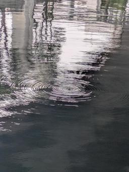 水面 水面の写真