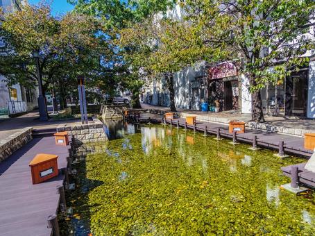 【高知県】高知市・よさこい公園 よさこい公園,高知市,高知県の写真素材