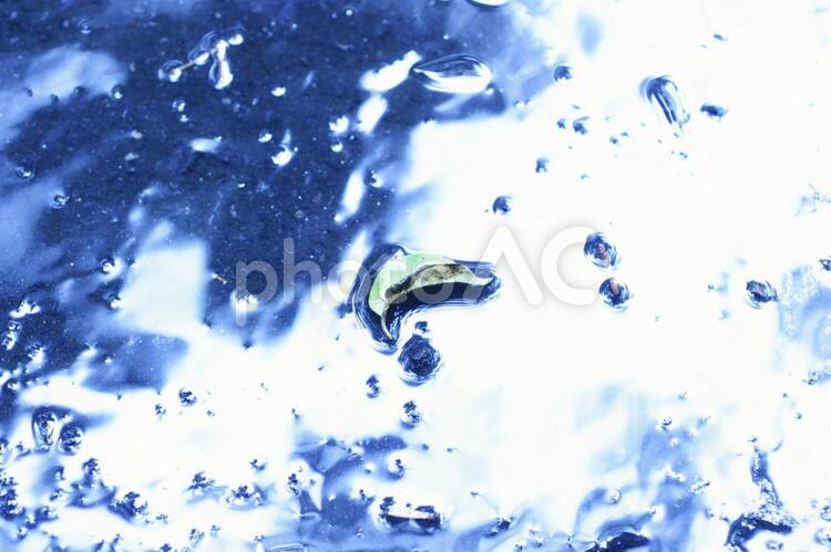 水たまりの落ち葉 秋,水たまり,落ち葉の写真素材