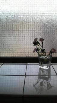 花とタイル 花とタイルの写真