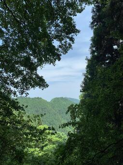 新緑の木々が囲む山並みの眺望 山,山並み,新緑の写真素材