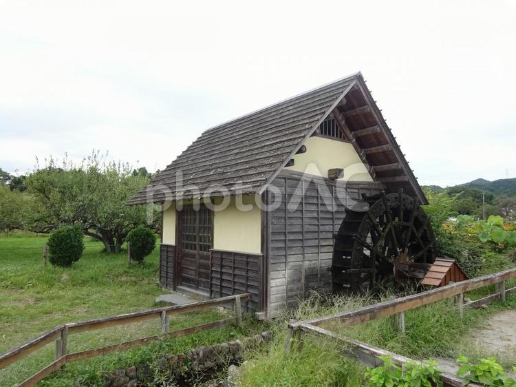巾着田の水車小屋 巾着田,水車小屋,田園の写真素材