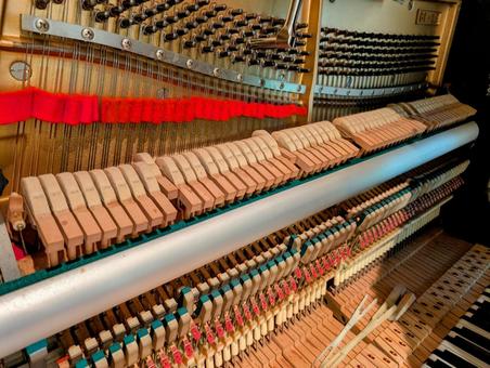 ピアノの調律 調律,ピアノ,調律師の写真素材