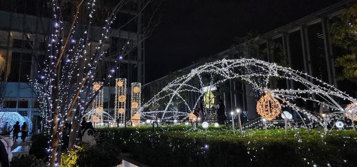 あべのハルカス イルミネーション イルミネーション,あべのハルカス,天空のイルミネーションの写真素材