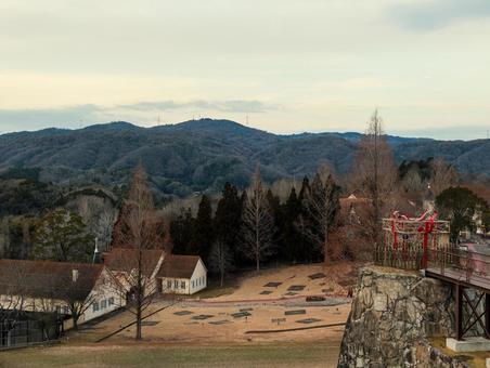 ドイツの森 ドイツの森,欧米,ヨーロッパの写真素材