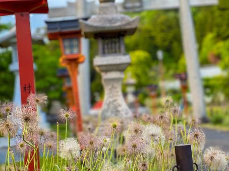 懐かしい田舎の村_1の写真