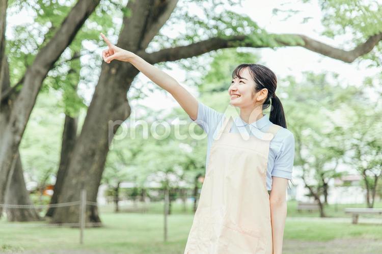 医療・介護・福祉系の女性スタッフ（指差す） 介護士,ホームヘルパー,看護師の写真素材