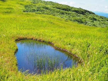 夏の景色62 夏の景色62 月山,月山弥陀ヶ原湿原,山形の写真素材