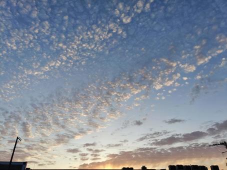 Scaly clouds dyed in the sunset, JPG