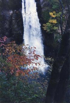 秋保大滝と紅葉02 秋保大滝と紅葉02 秋保大滝,滝つぼ,マイナスイオンの写真素材