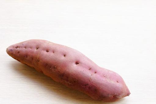 1本のサツマイモ　五郎島金時　加賀野菜 さつまいも,加賀野菜,一本の写真素材