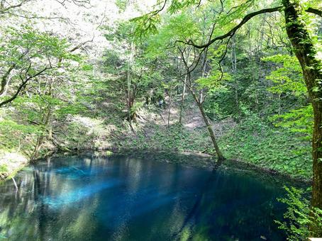 青池 青池の写真