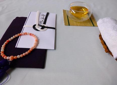 また今年も会いに来ました また今年も会いに来ましたの写真