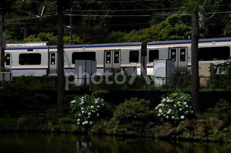 横須賀線　北鎌倉 横須賀線,鉄道,線路の写真素材