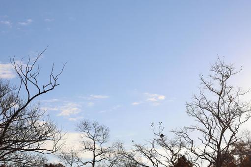 空空 空空の写真
