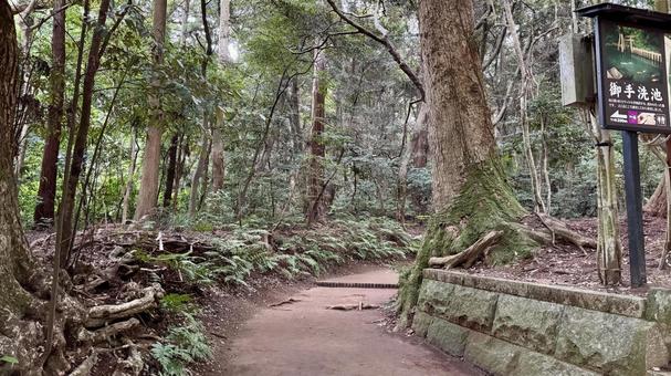 要石通路 要石通路 鹿島神宮,要石,観光地の写真素材