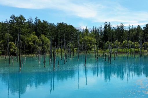 北海道美瑛の青い池 北海道美瑛の青い池の写真