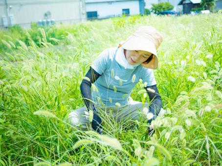35:草むしりをする女性 35:草むしりをする女性の写真