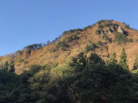 田舎の山の写真