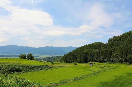 田んぼの風景1 田んぼの風景1の写真