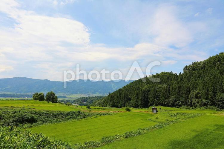 田んぼの風景1 自然,山,風景の写真素材