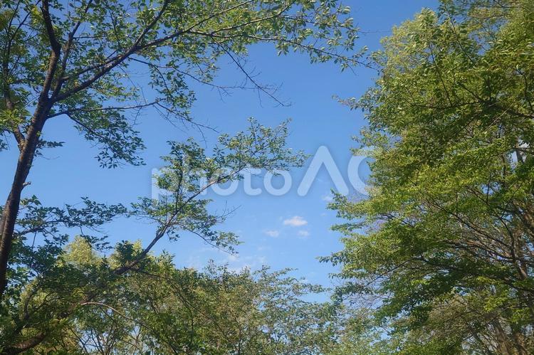 青い空と田舎の風景 バックグランド,景色,屋外での写真素材