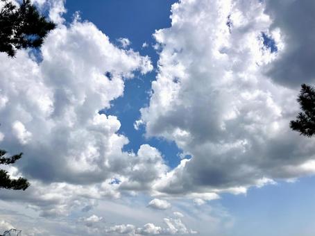 Photo, cloud, summer clouds, summer sky, 