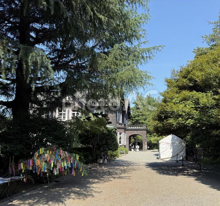旧古河邸　旧古河庭園　7月 七夕,短冊,7月の写真素材