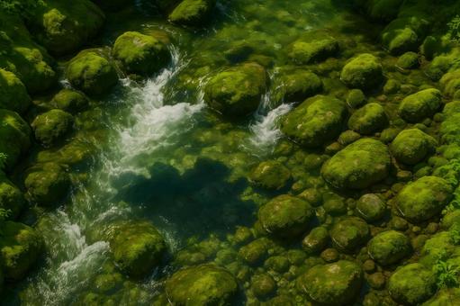 苔むす清流のせせらぎの写真