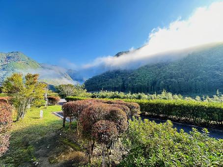 朝の霧　山脈　河川敷 風景,和歌山県熊野川町,河川敷の写真素材