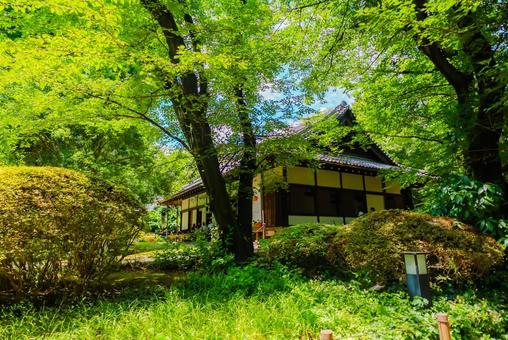 【東京】上野国立博物館 2025 【東京】上野国立博物館 2025の写真