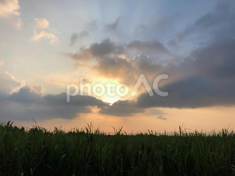 美しい夕焼け 太陽,日暮れ,農村の写真素材