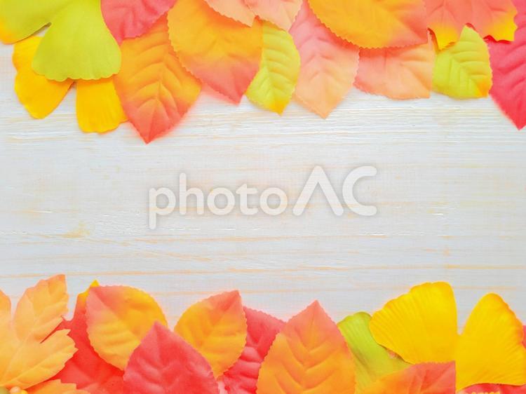 秋　紅葉　ハロウィン　イメージ　背景フレーム　 秋,冬,紅葉の写真素材