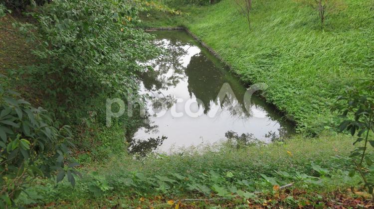 西尾城　城跡の風景 西尾城,お城,castleの写真素材